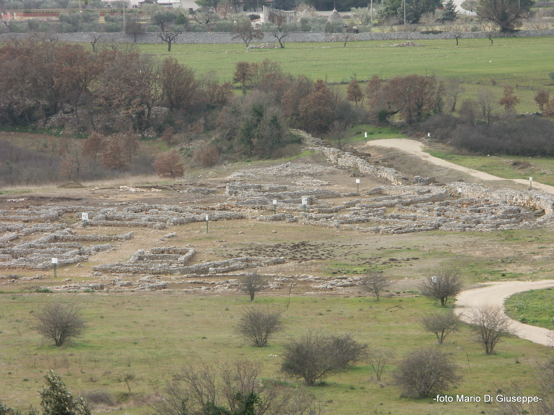Parco Archeologico di Monte Sannace Parco Archeologico di Monte Sannace